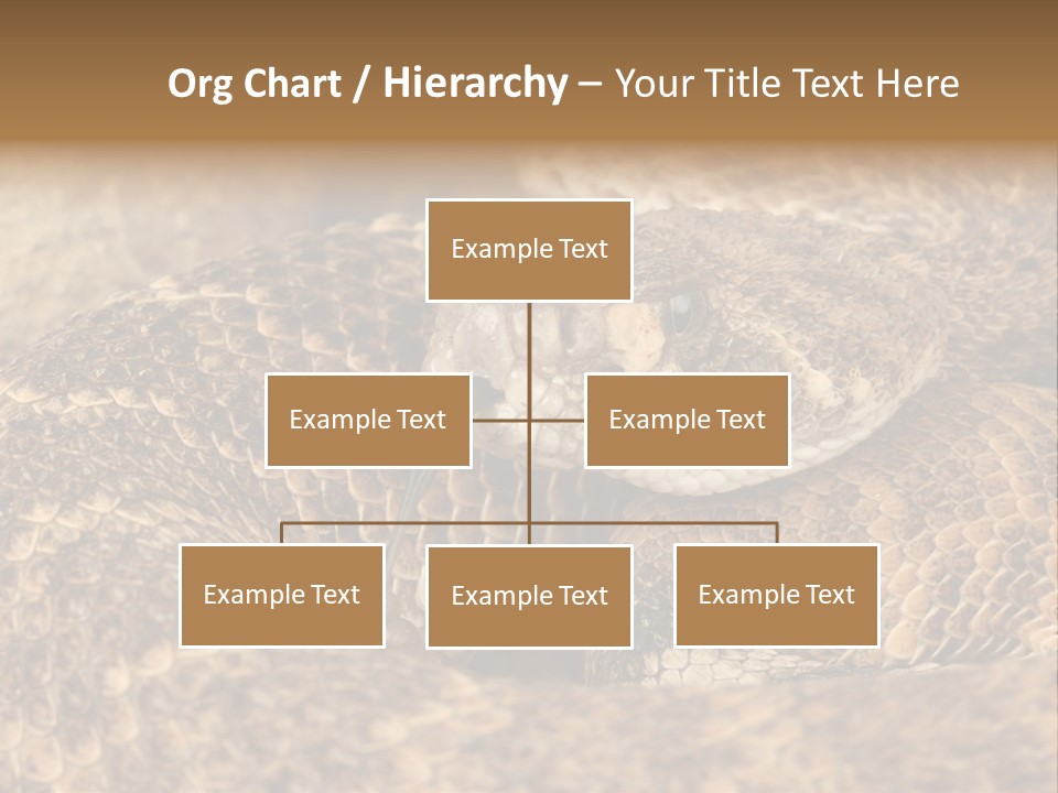 Reptile Venomous Deadly PowerPoint Template