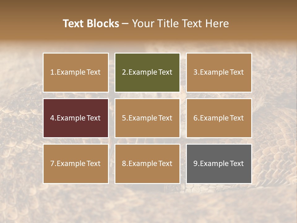 Reptile Venomous Deadly PowerPoint Template