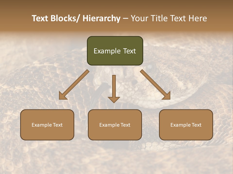 Reptile Venomous Deadly PowerPoint Template