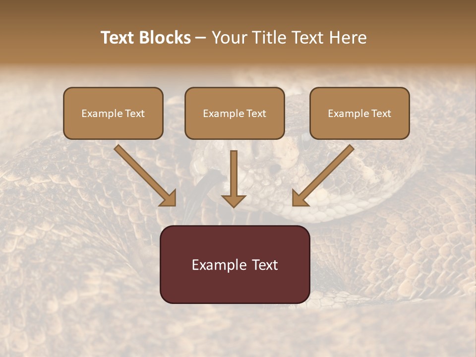 Reptile Venomous Deadly PowerPoint Template