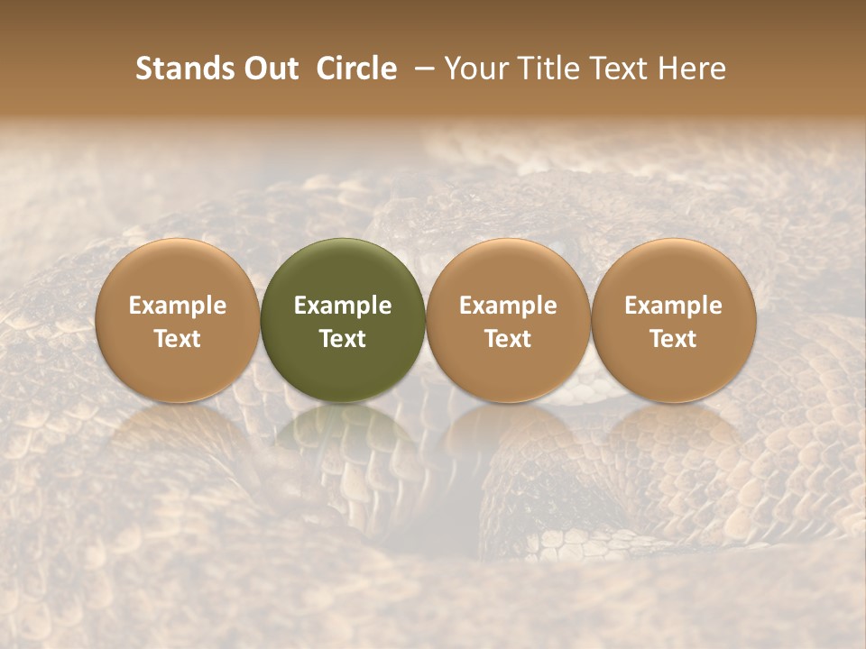 Reptile Venomous Deadly PowerPoint Template