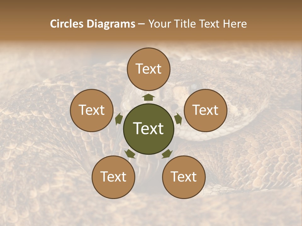 Reptile Venomous Deadly PowerPoint Template