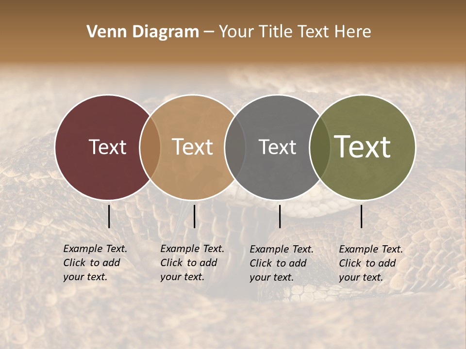 Reptile Venomous Deadly PowerPoint Template