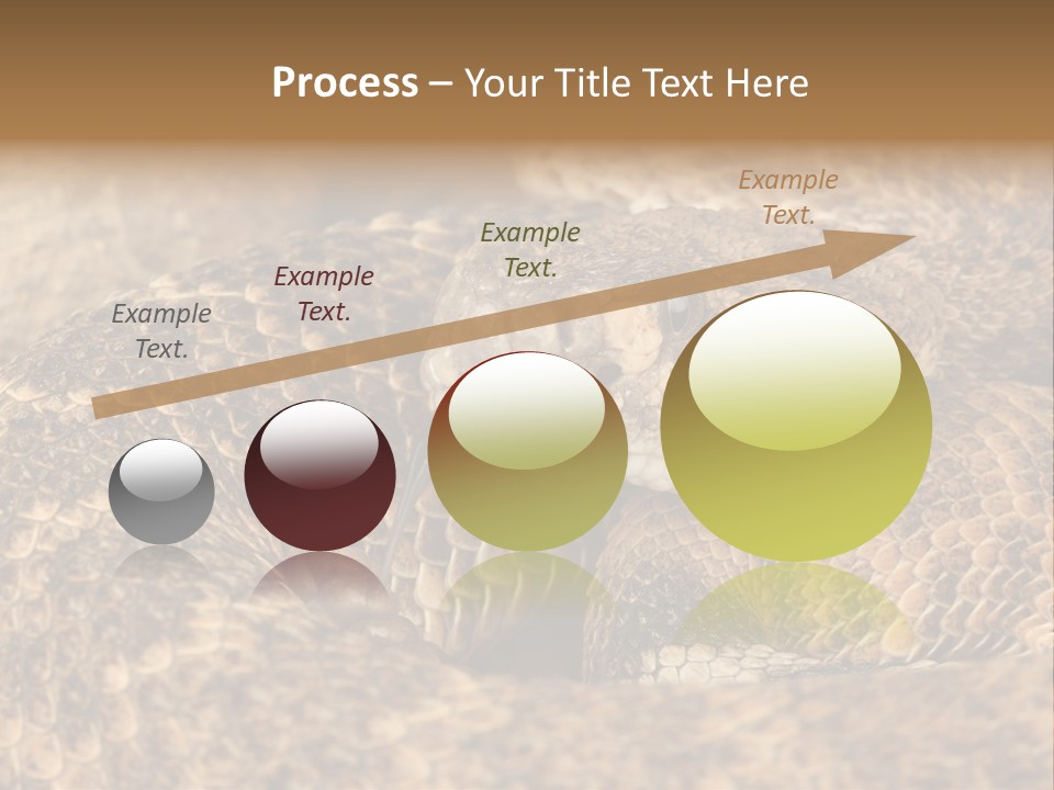 Reptile Venomous Deadly PowerPoint Template