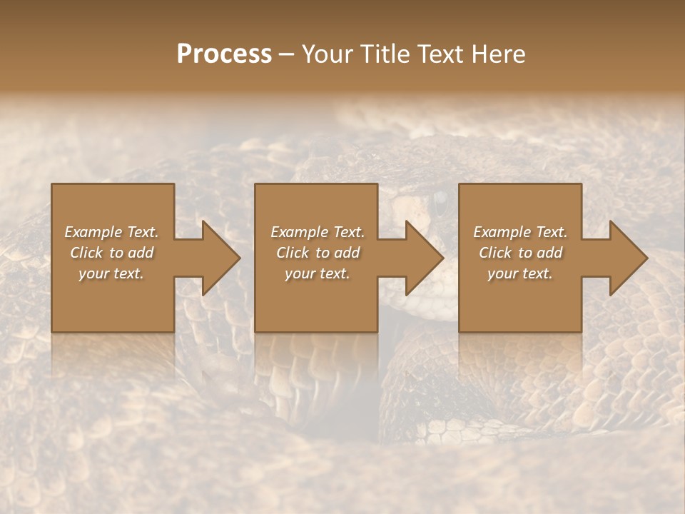 Reptile Venomous Deadly PowerPoint Template
