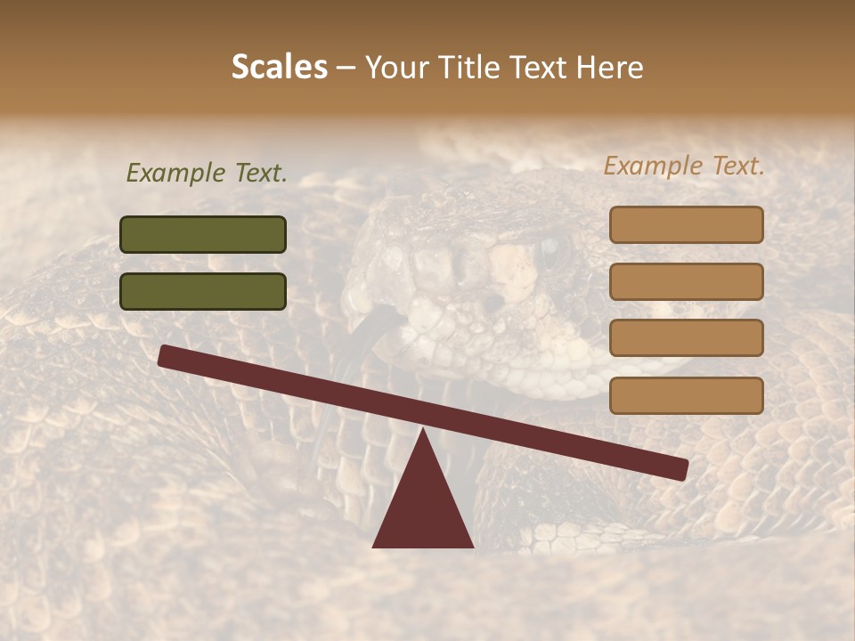 Reptile Venomous Deadly PowerPoint Template
