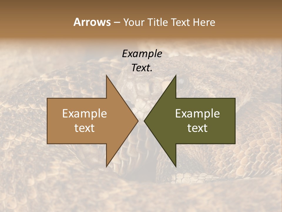 Reptile Venomous Deadly PowerPoint Template
