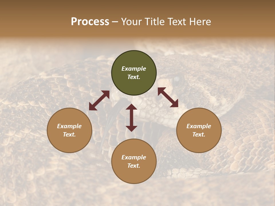 Reptile Venomous Deadly PowerPoint Template