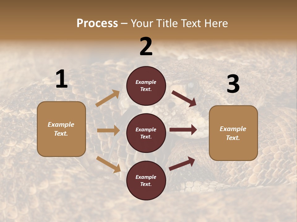 Reptile Venomous Deadly PowerPoint Template