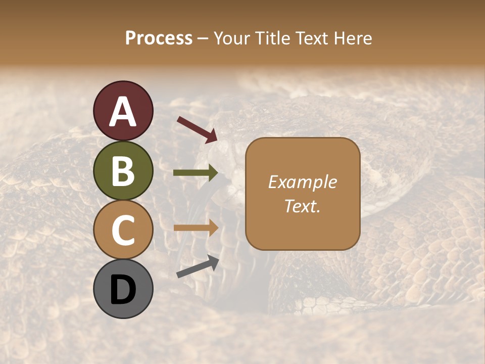 Reptile Venomous Deadly PowerPoint Template