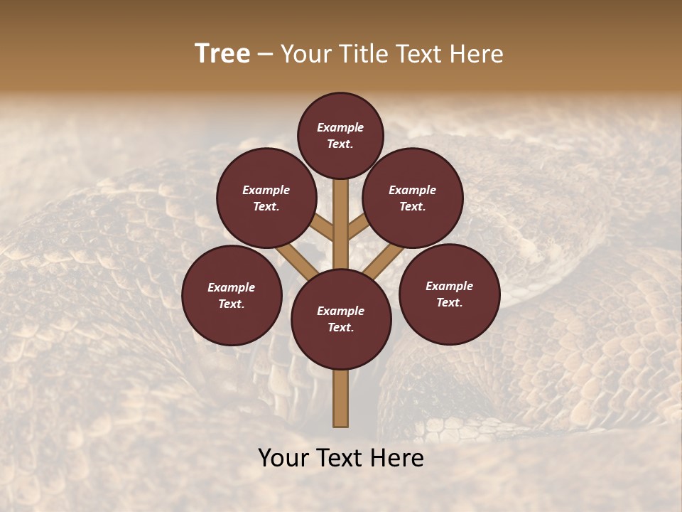 Reptile Venomous Deadly PowerPoint Template