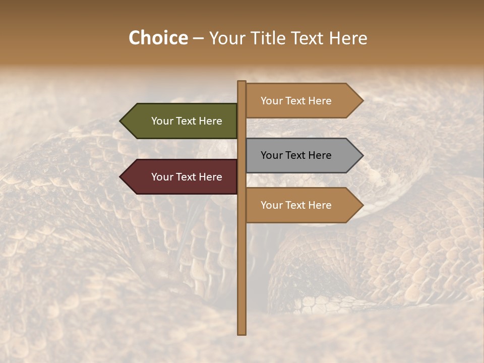 Reptile Venomous Deadly PowerPoint Template