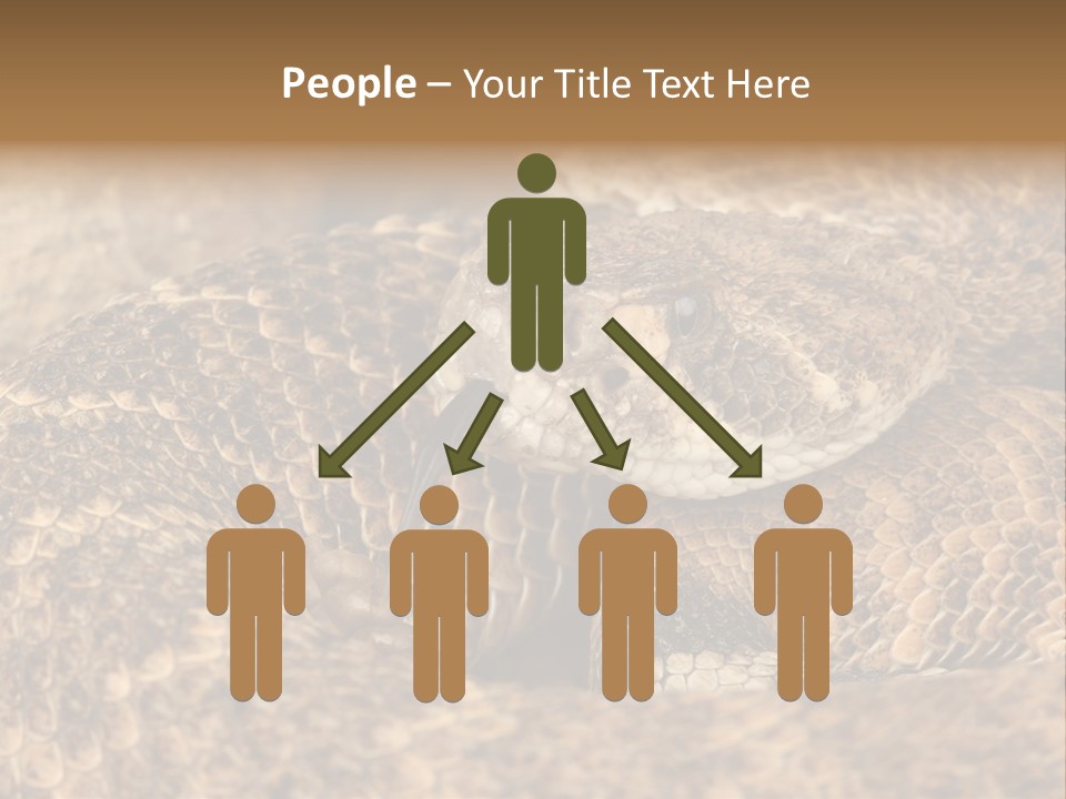 Reptile Venomous Deadly PowerPoint Template
