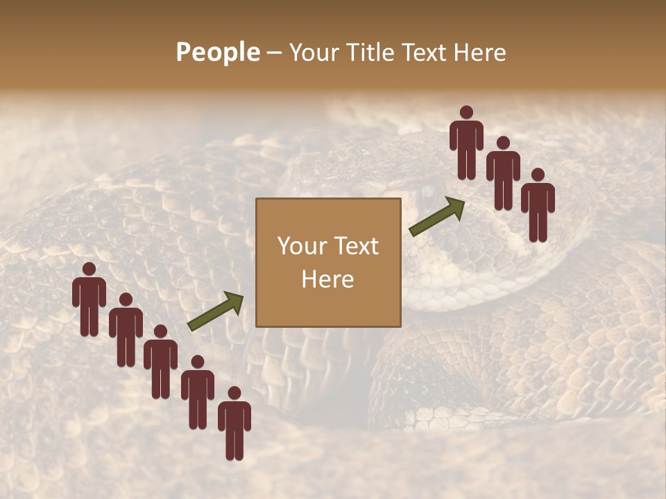 Reptile Venomous Deadly PowerPoint Template