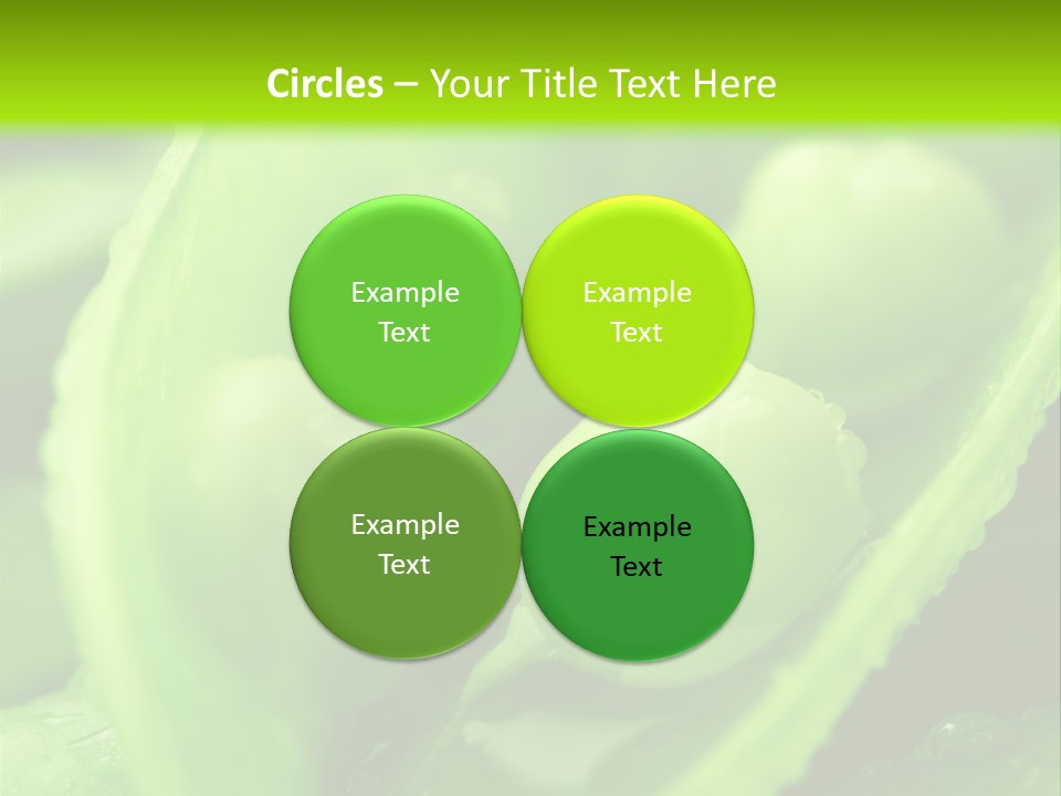 Healthy Pea Ripe PowerPoint Template