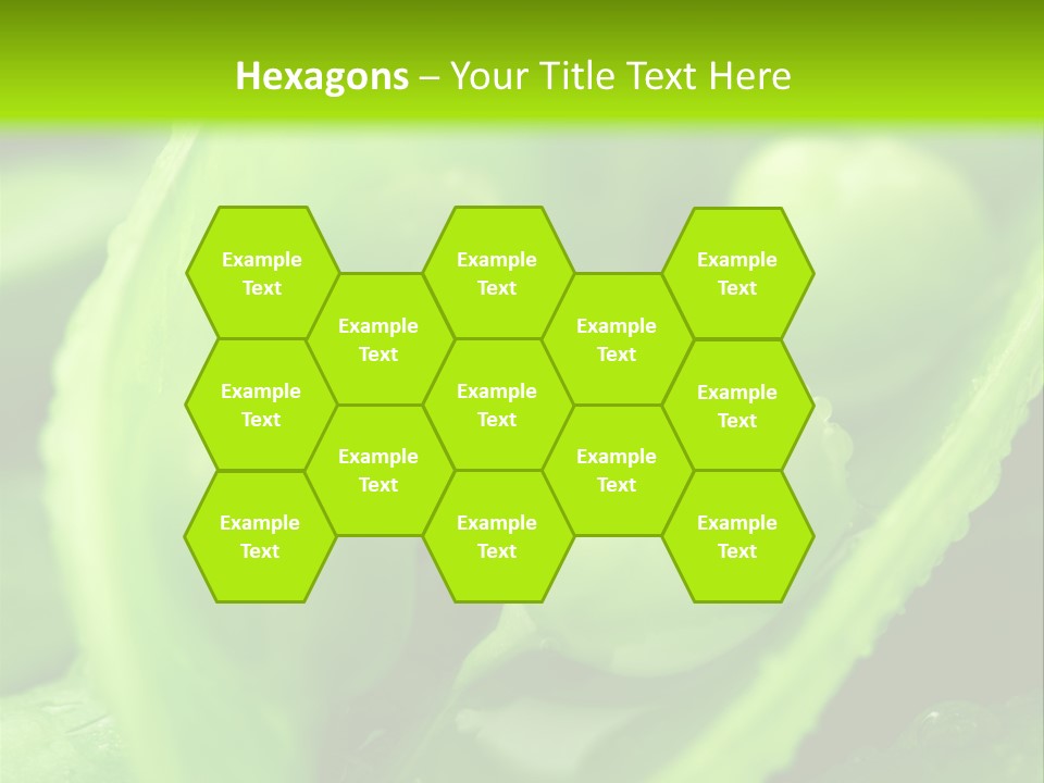 Healthy Pea Ripe PowerPoint Template