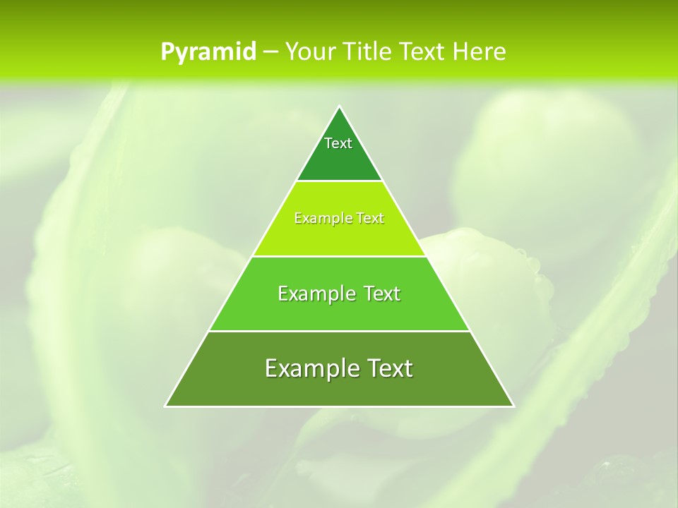 Healthy Pea Ripe PowerPoint Template