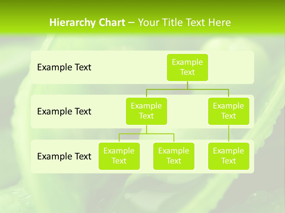 Healthy Pea Ripe PowerPoint Template