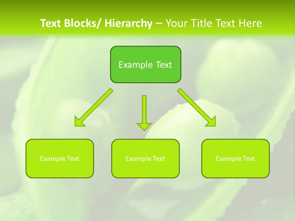 Healthy Pea Ripe PowerPoint Template