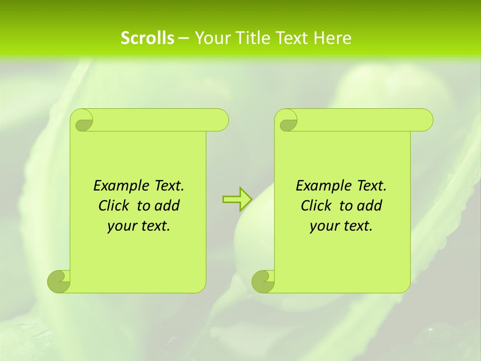 Healthy Pea Ripe PowerPoint Template