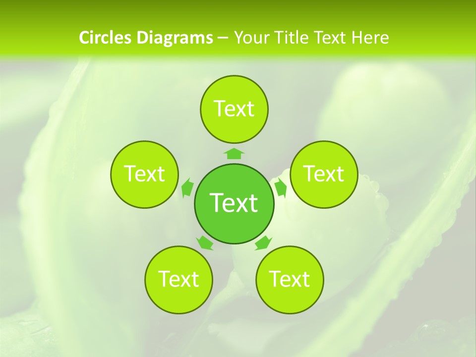 Healthy Pea Ripe PowerPoint Template