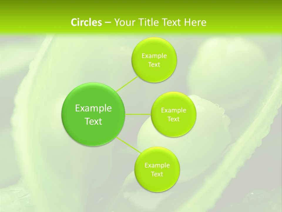 Healthy Pea Ripe PowerPoint Template