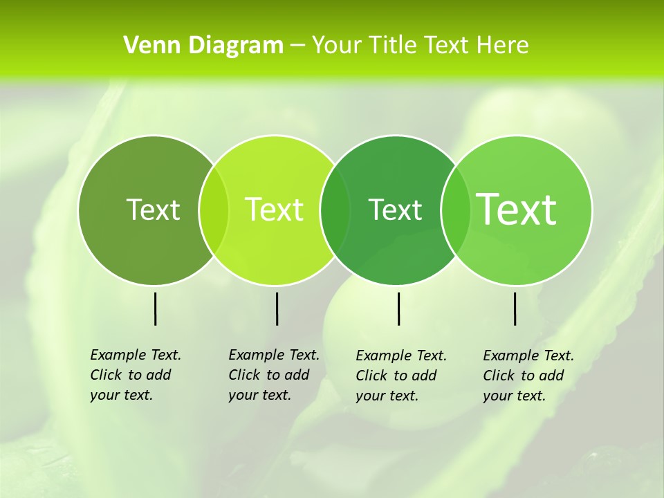 Healthy Pea Ripe PowerPoint Template