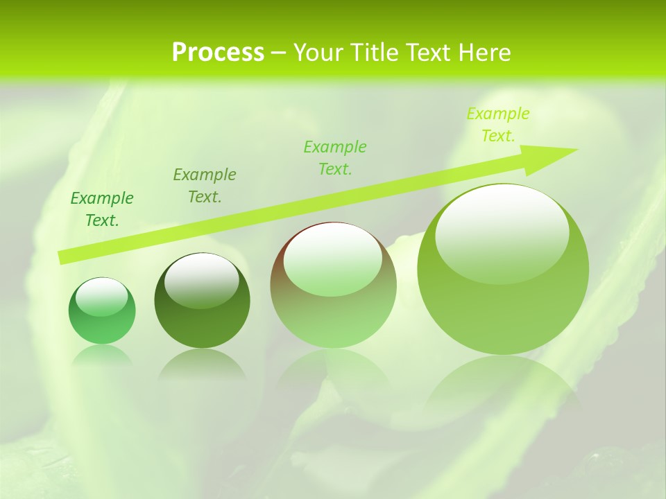 Healthy Pea Ripe PowerPoint Template