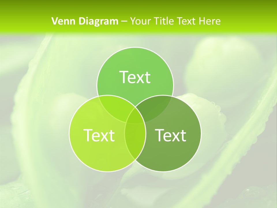 Healthy Pea Ripe PowerPoint Template