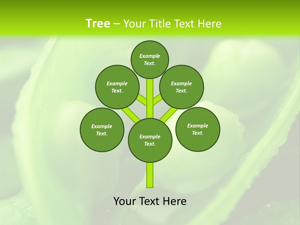 Healthy Pea Ripe PowerPoint Template