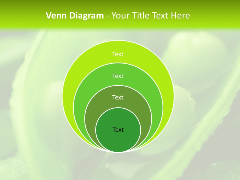 Healthy Pea Ripe PowerPoint Template