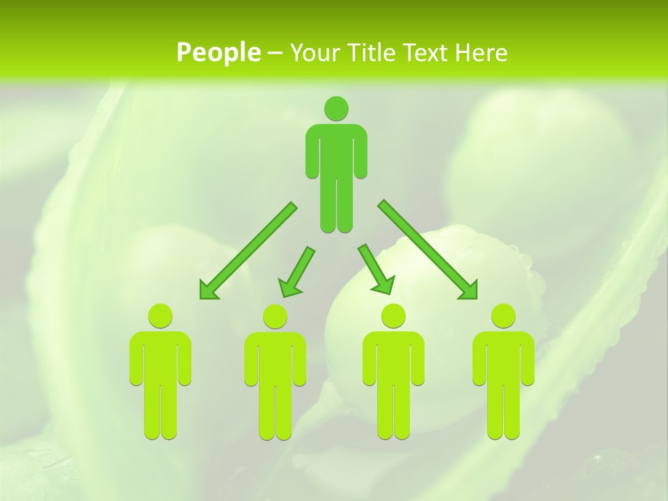Healthy Pea Ripe PowerPoint Template