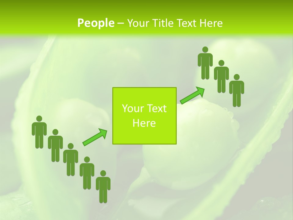 Healthy Pea Ripe PowerPoint Template