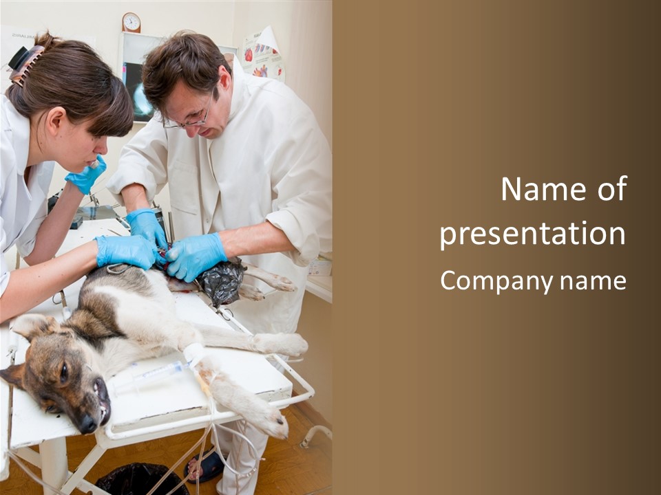 Veterinary Surgery Sterile PowerPoint Template