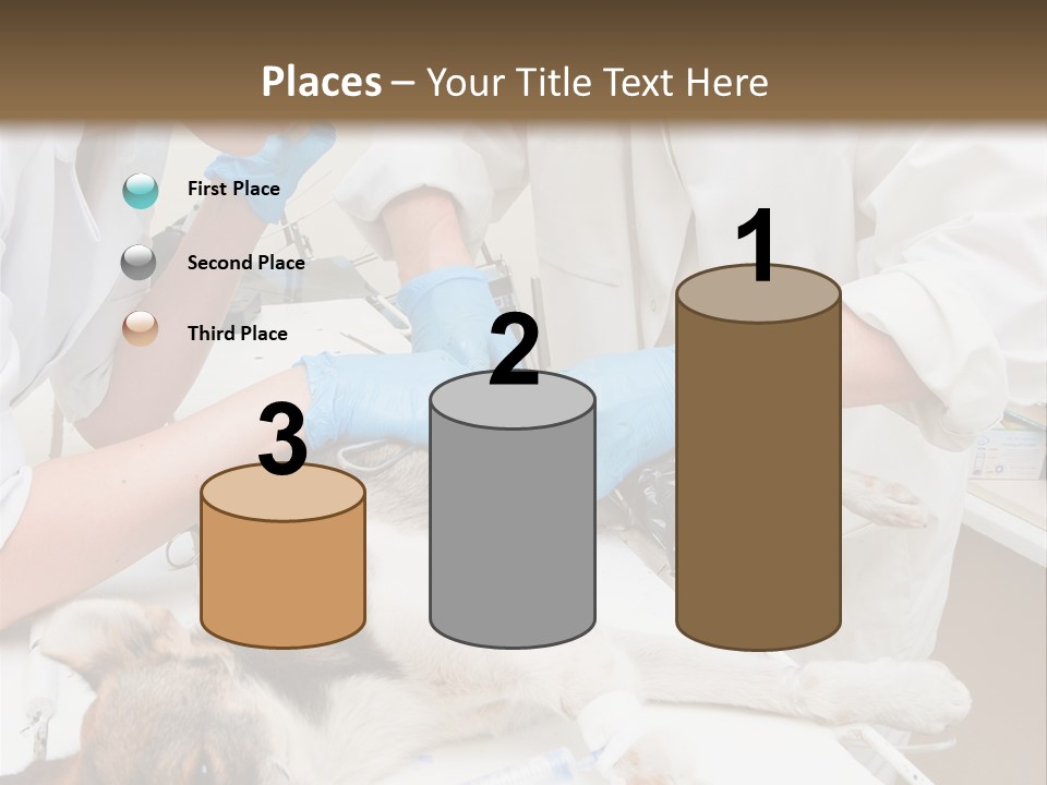 Veterinary Surgery Sterile PowerPoint Template
