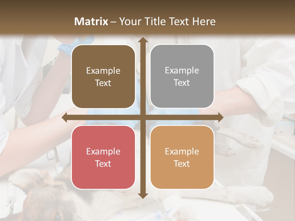 Veterinary Surgery Sterile PowerPoint Template