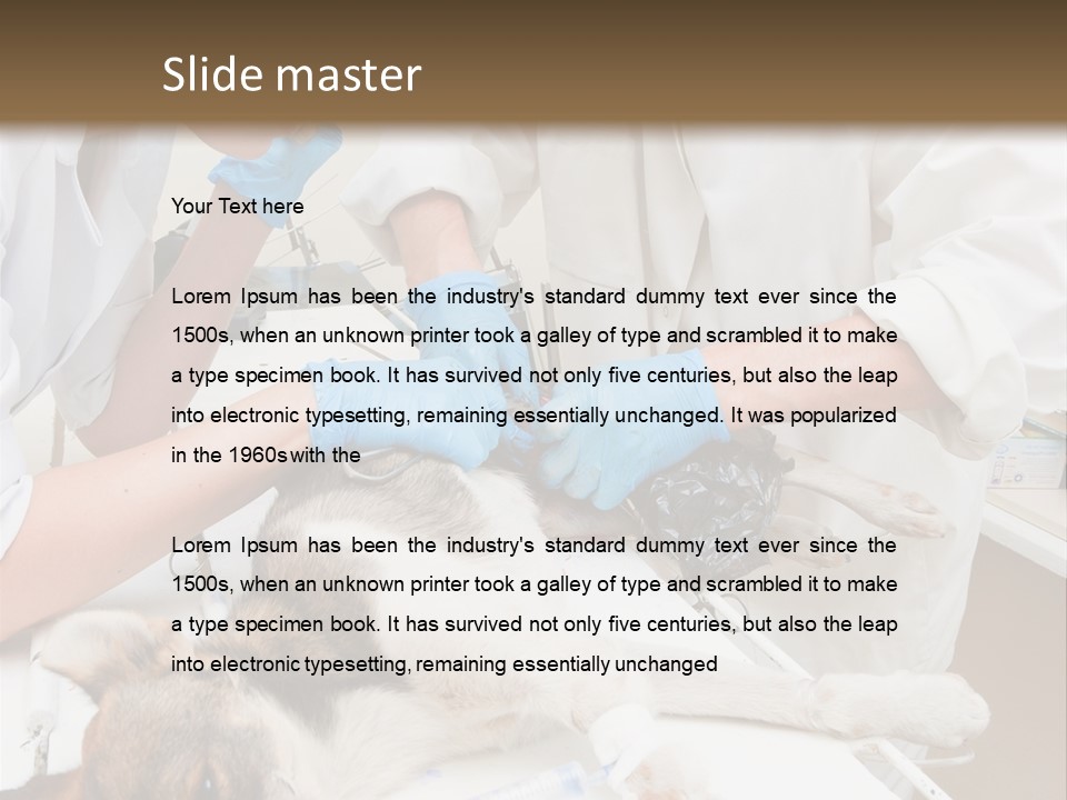 Veterinary Surgery Sterile PowerPoint Template