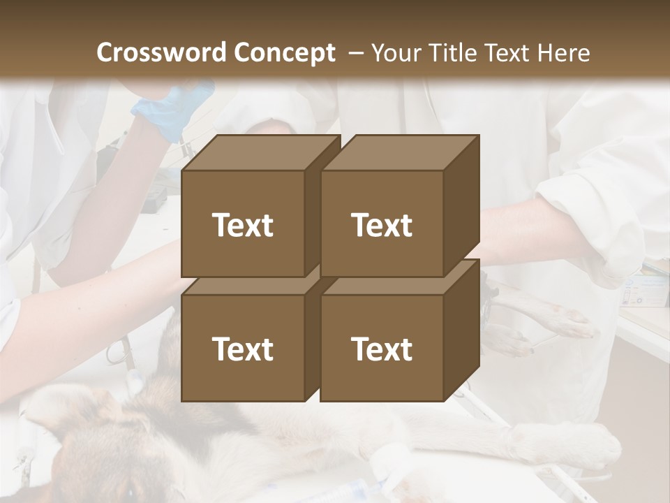 Veterinary Surgery Sterile PowerPoint Template