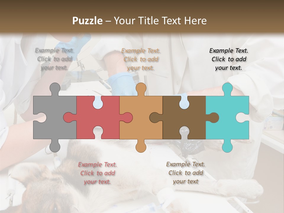 Veterinary Surgery Sterile PowerPoint Template