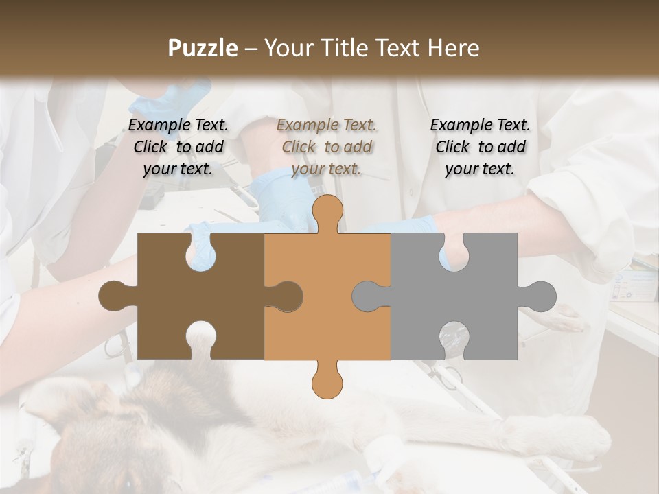 Veterinary Surgery Sterile PowerPoint Template