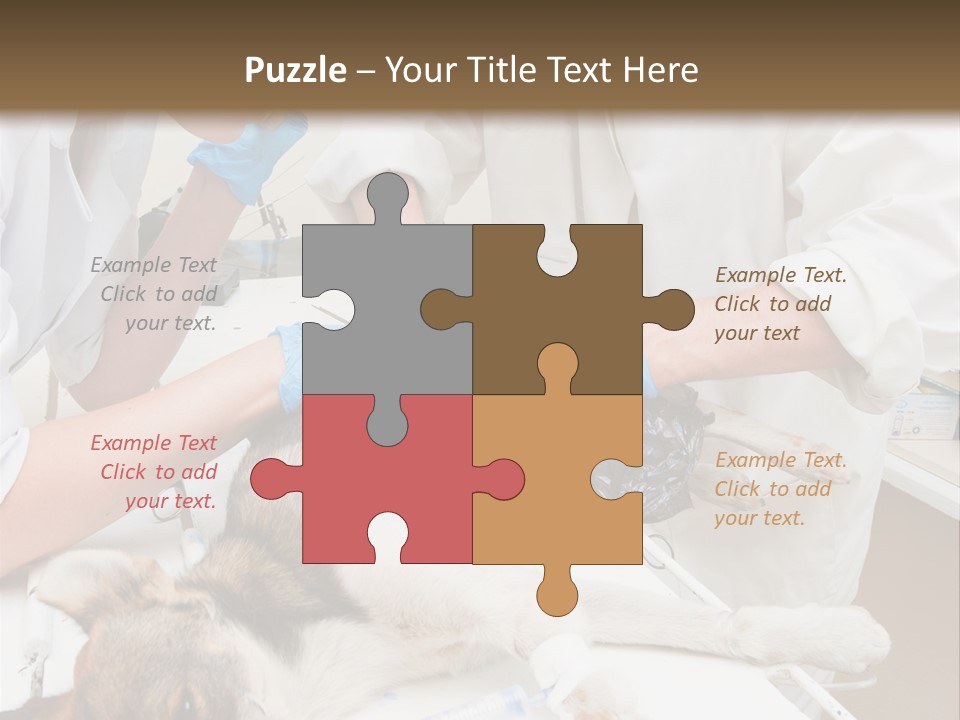 Veterinary Surgery Sterile PowerPoint Template