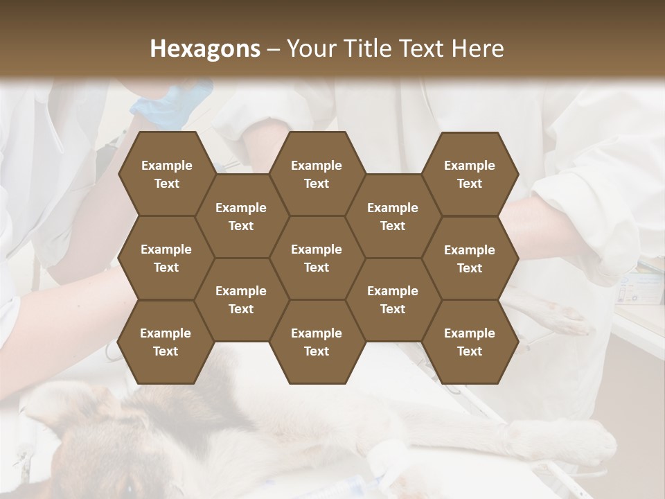 Veterinary Surgery Sterile PowerPoint Template