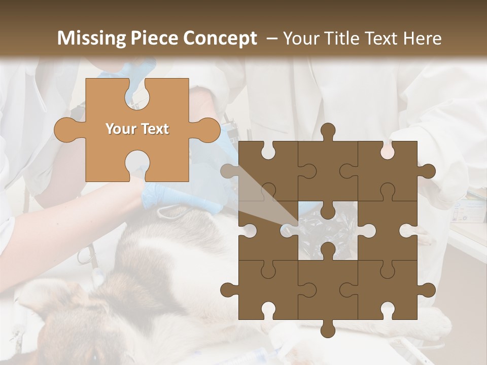 Veterinary Surgery Sterile PowerPoint Template