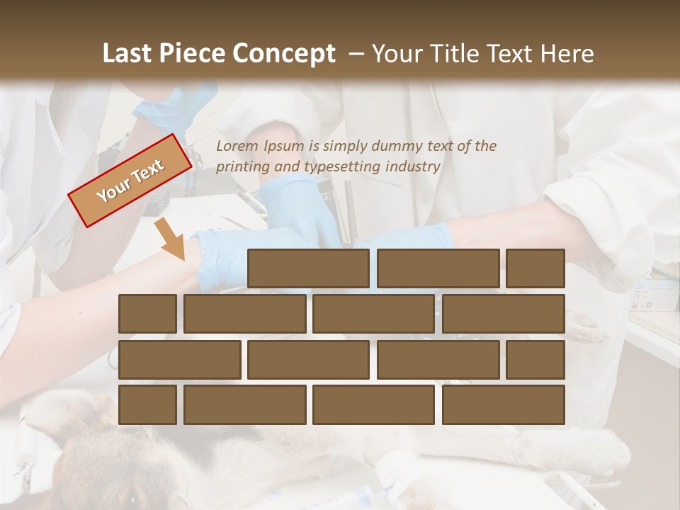 Veterinary Surgery Sterile PowerPoint Template