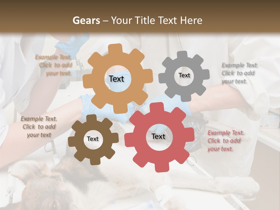 Veterinary Surgery Sterile PowerPoint Template