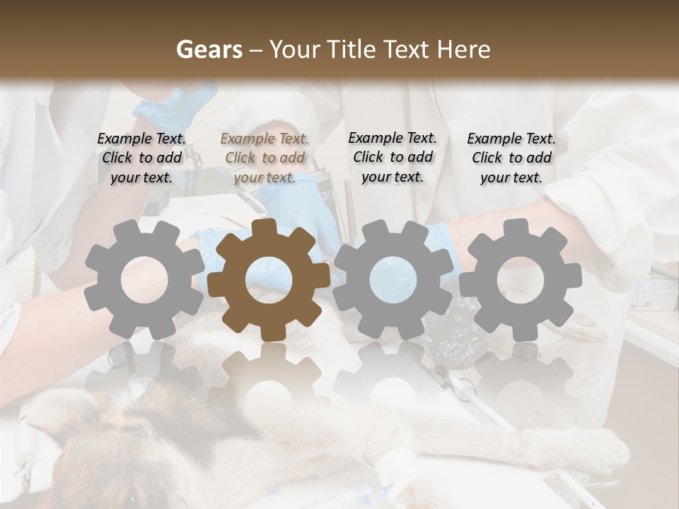 Veterinary Surgery Sterile PowerPoint Template