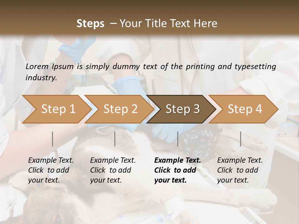 Veterinary Surgery Sterile PowerPoint Template