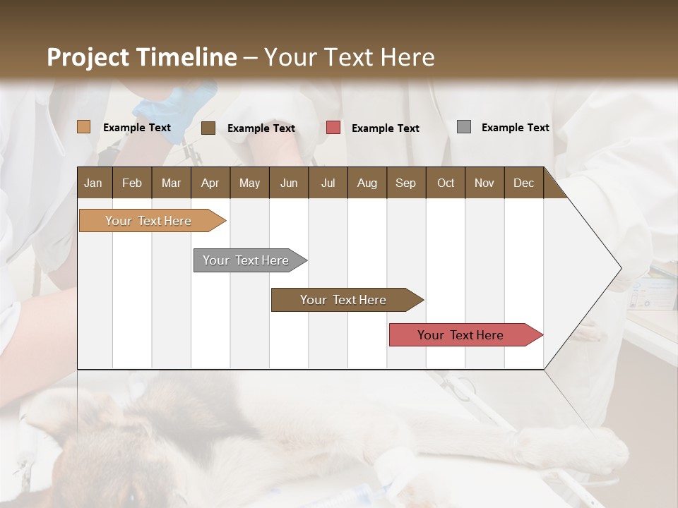 Veterinary Surgery Sterile PowerPoint Template