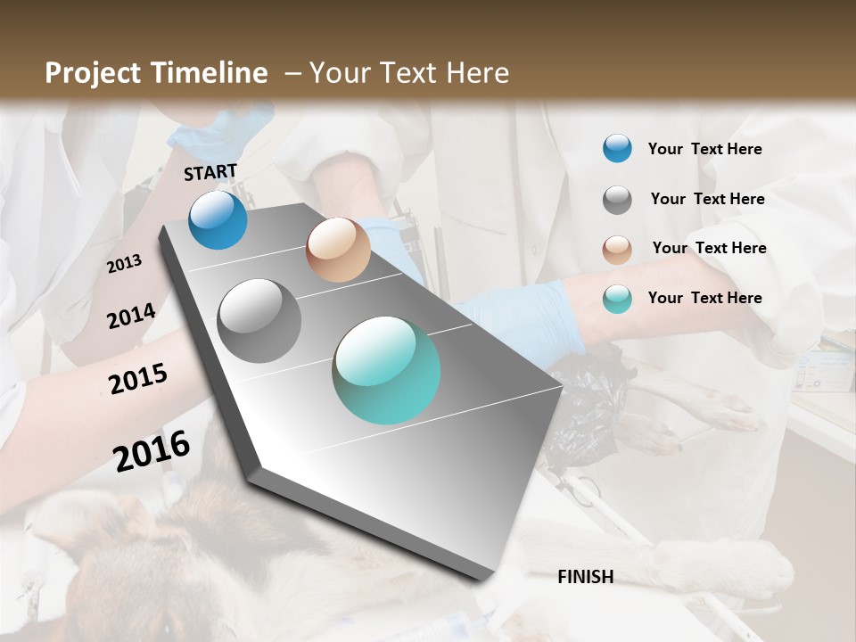 Veterinary Surgery Sterile PowerPoint Template