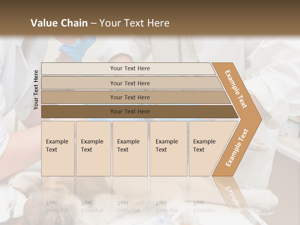 Veterinary Surgery Sterile PowerPoint Template